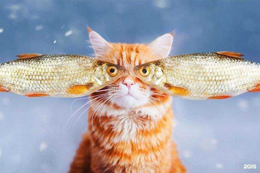 Отзывы на компанию Львенок в Екатеринбурге c фото