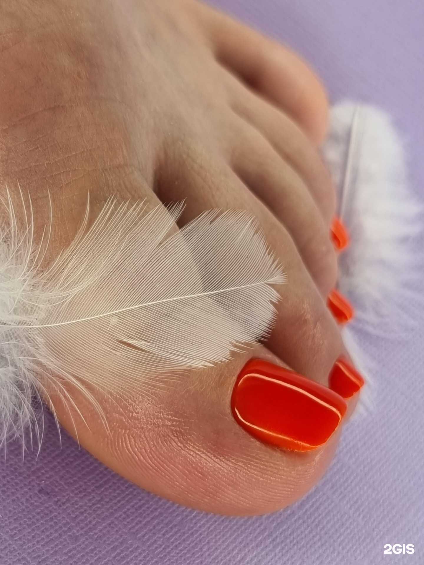 Отзывы на компанию Че в Воронеже c фото