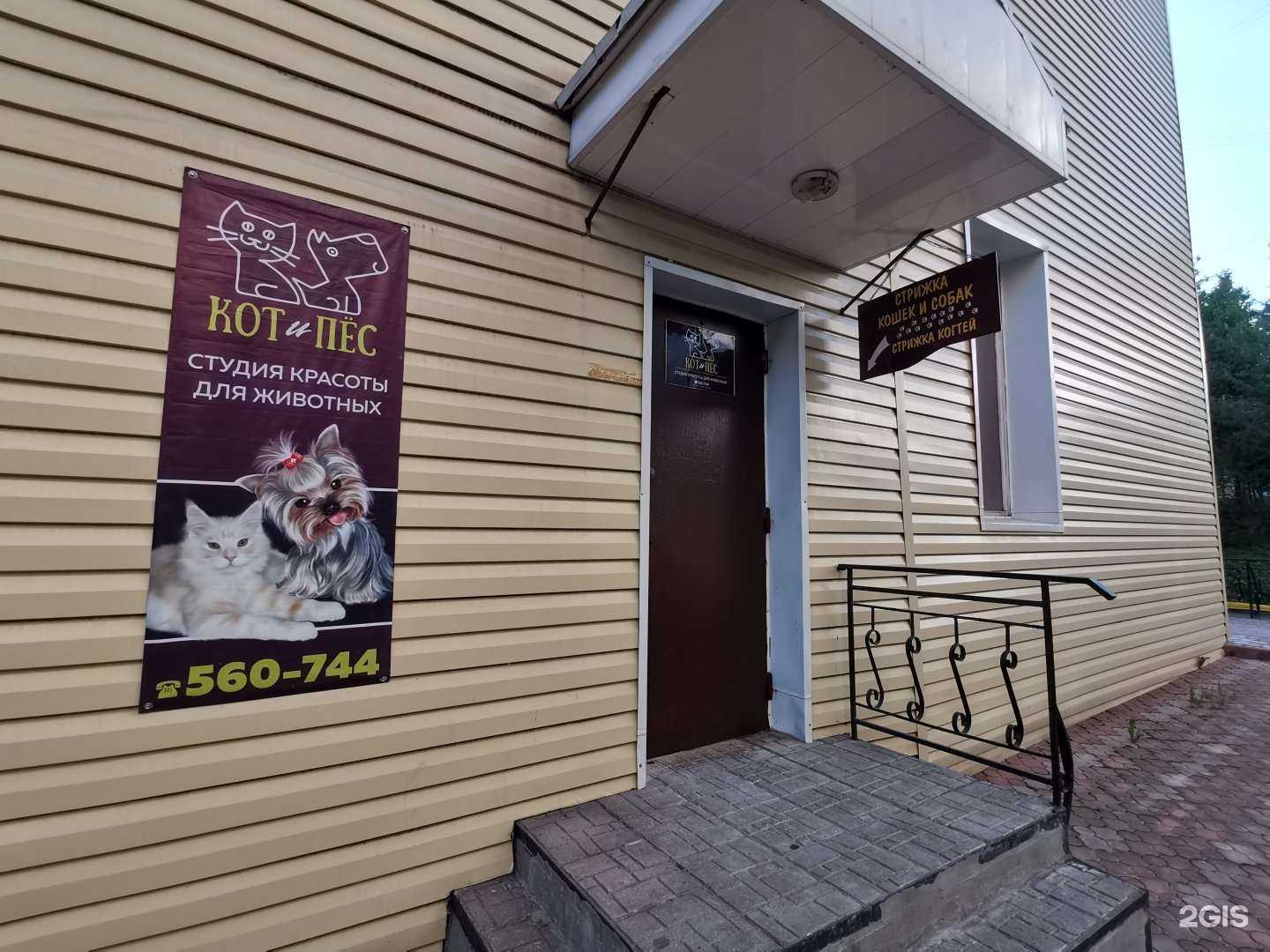 Отзывы на компанию Кот и Пес в г. Сыктывкар c фото