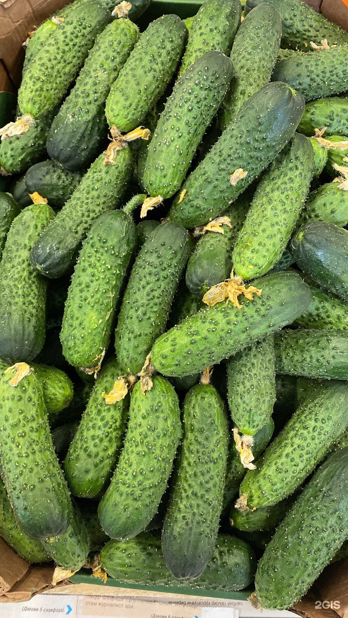 Отзывы на компанию Мир сухофруктов в Новосибирске c фото