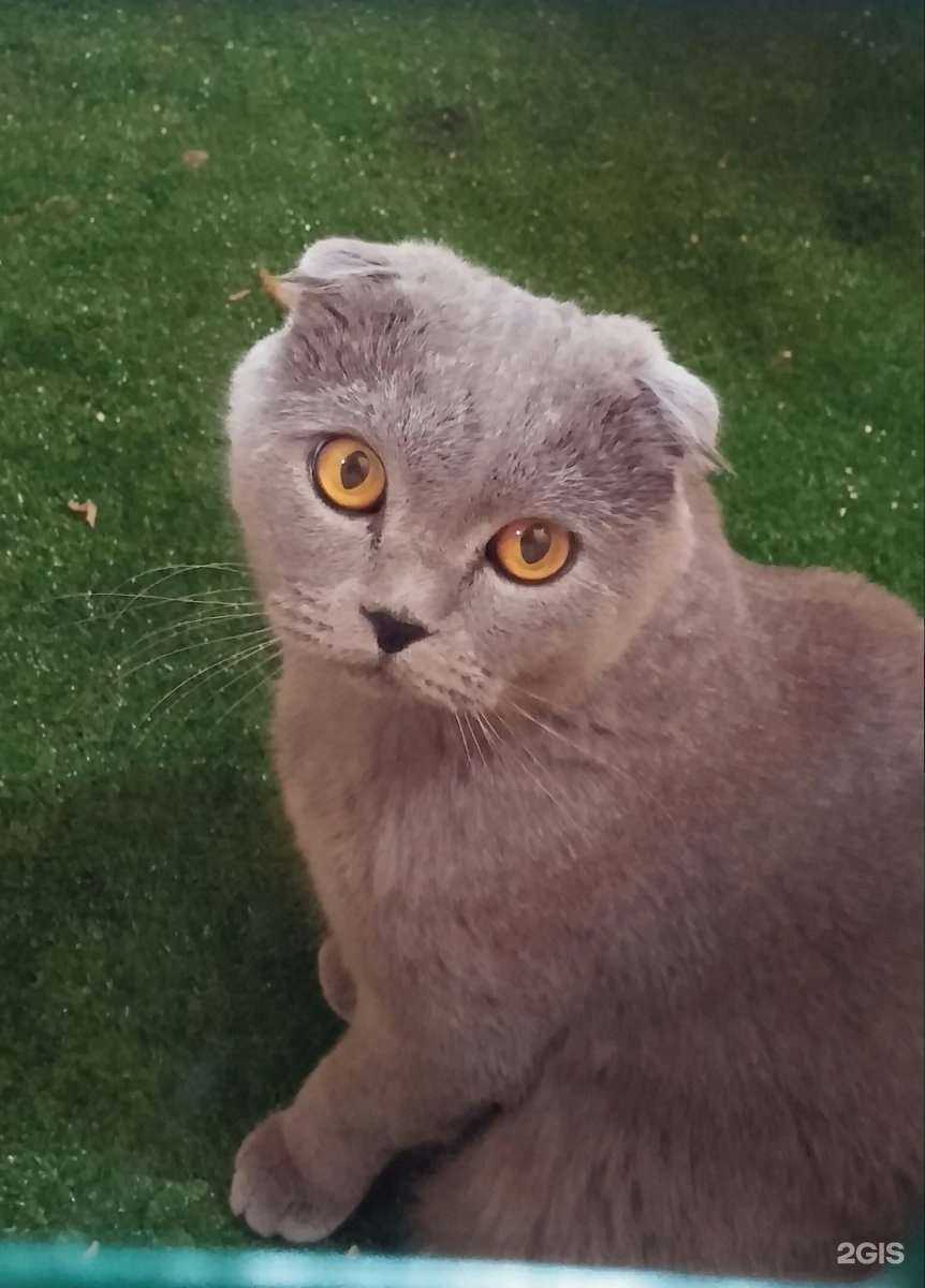 Отзывы на компанию Теремок в г. Ростов-на-Дону c фото