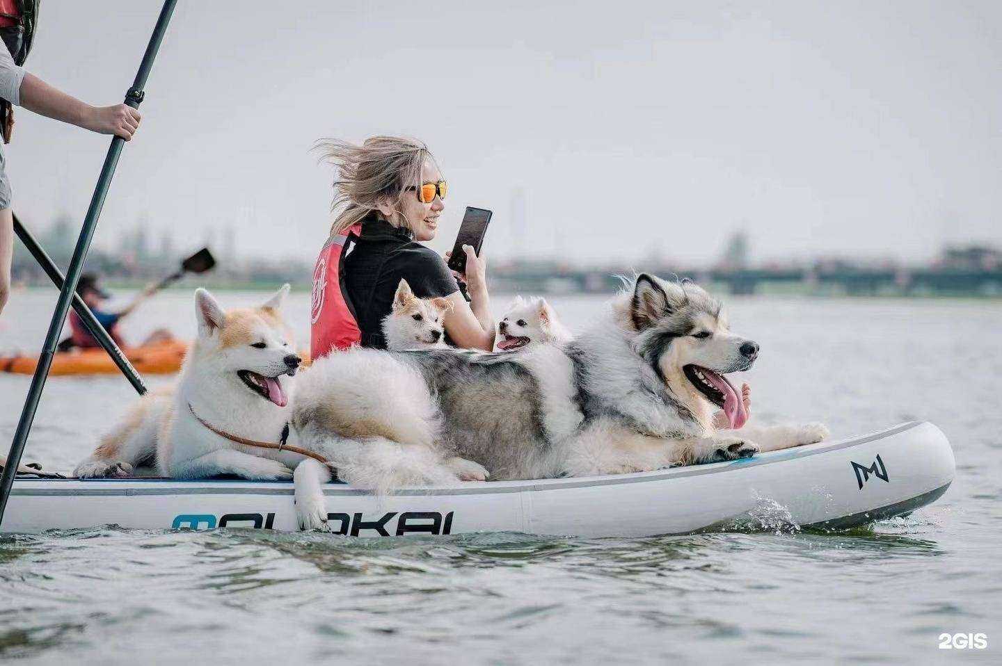 Отзывы на компанию Molokai&iboard shop в г. Владивосток c фото