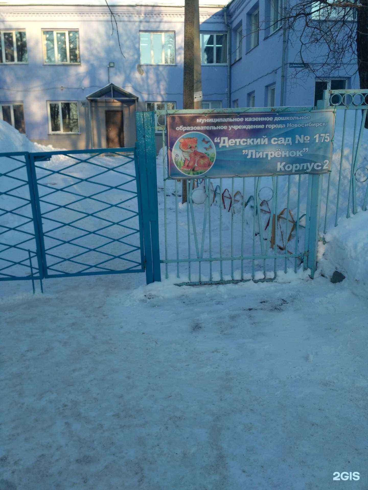 Отзывы на компанию Лигрёнок в г. Новосибирск c фото