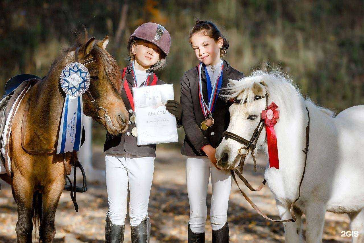Отзывы на компанию Пони клуб в Нижнем Новгороде c фото