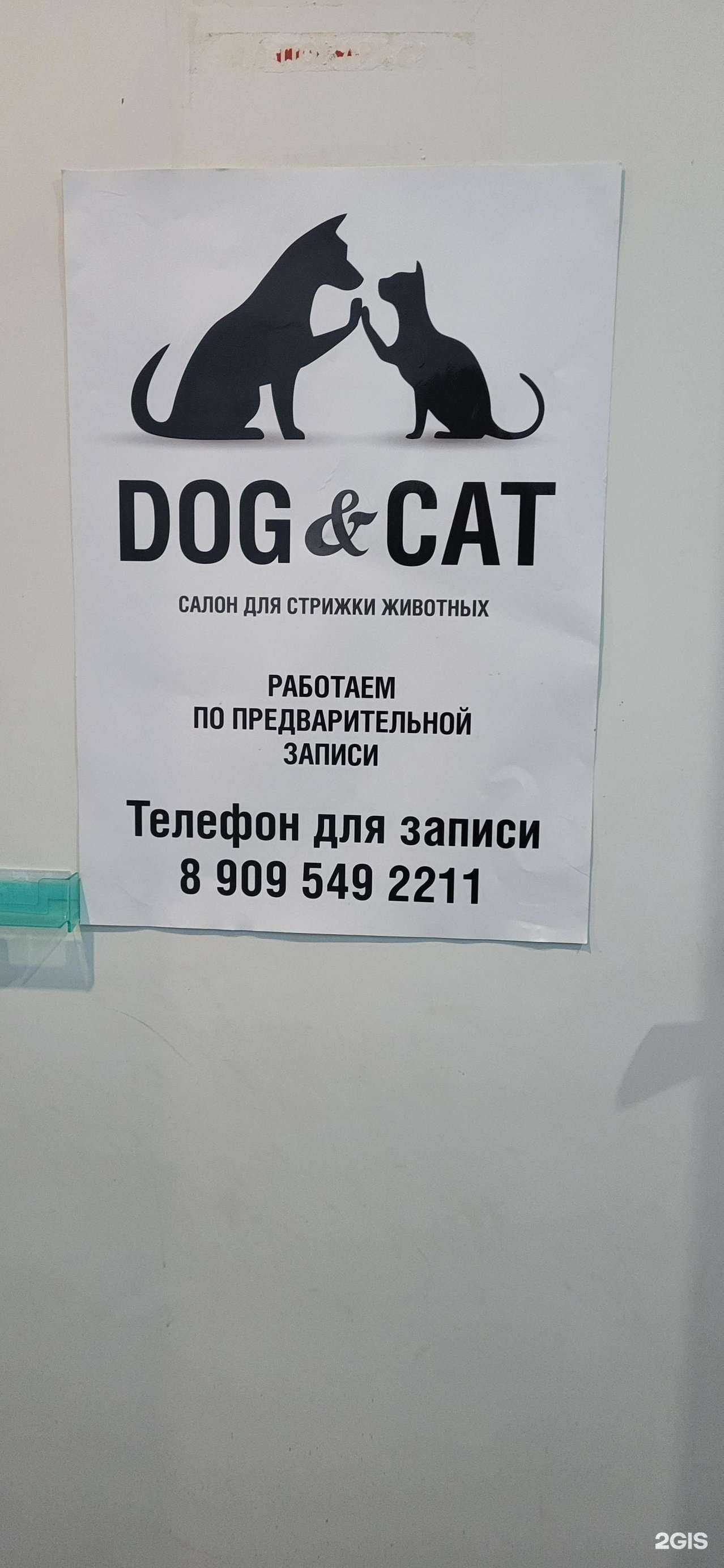 Отзывы на компанию Dog&Kat в Северске c фото