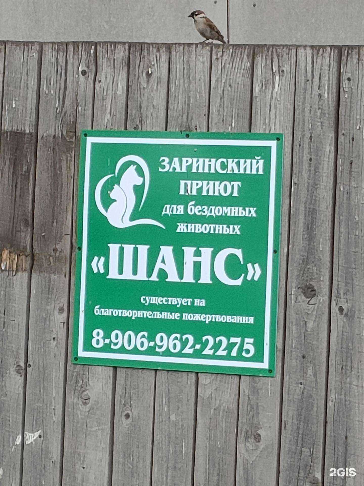 Отзывы на компанию Шанс в Заринске c фото