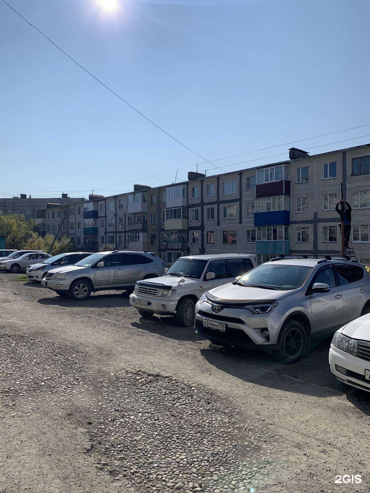 Отзывы на компанию Зоомагазин №1 в Петропавловске-Камчатском c фото - фотография 2 из 2