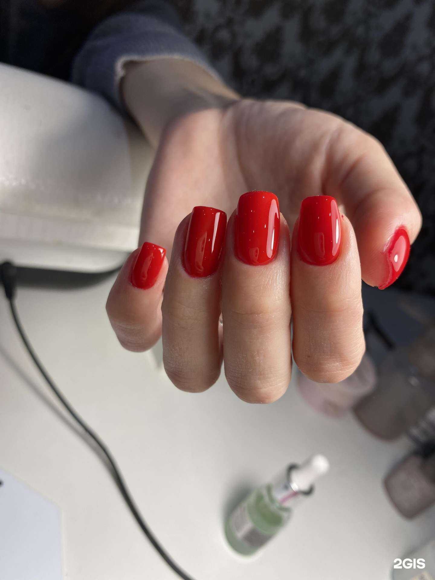 Отзывы на компанию Известия в Сочи c фото