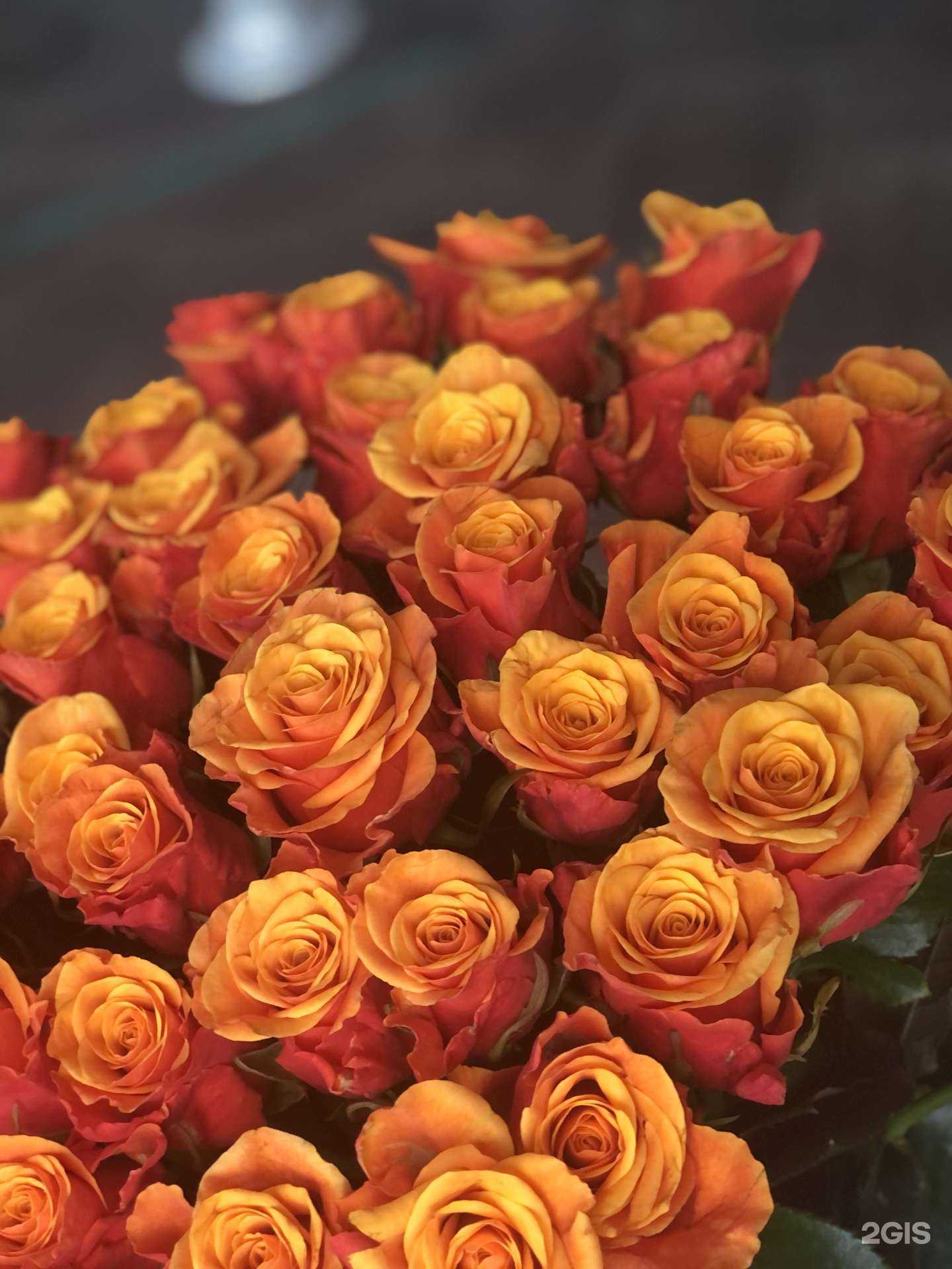 Отзывы на компанию Madame de fleur в Новороссийске c фото