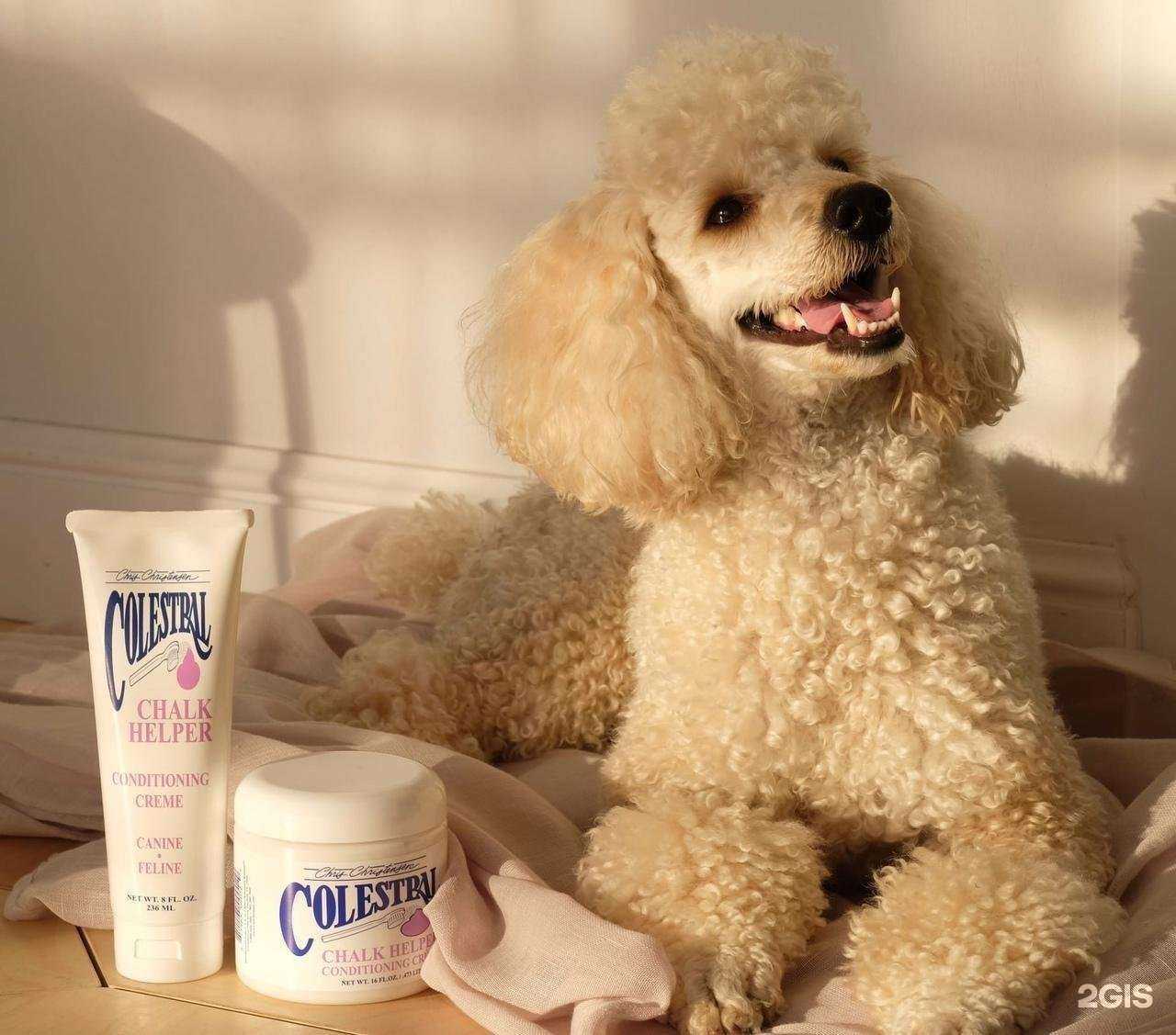 Отзывы на компанию People&pets в Екатеринбурге c фото