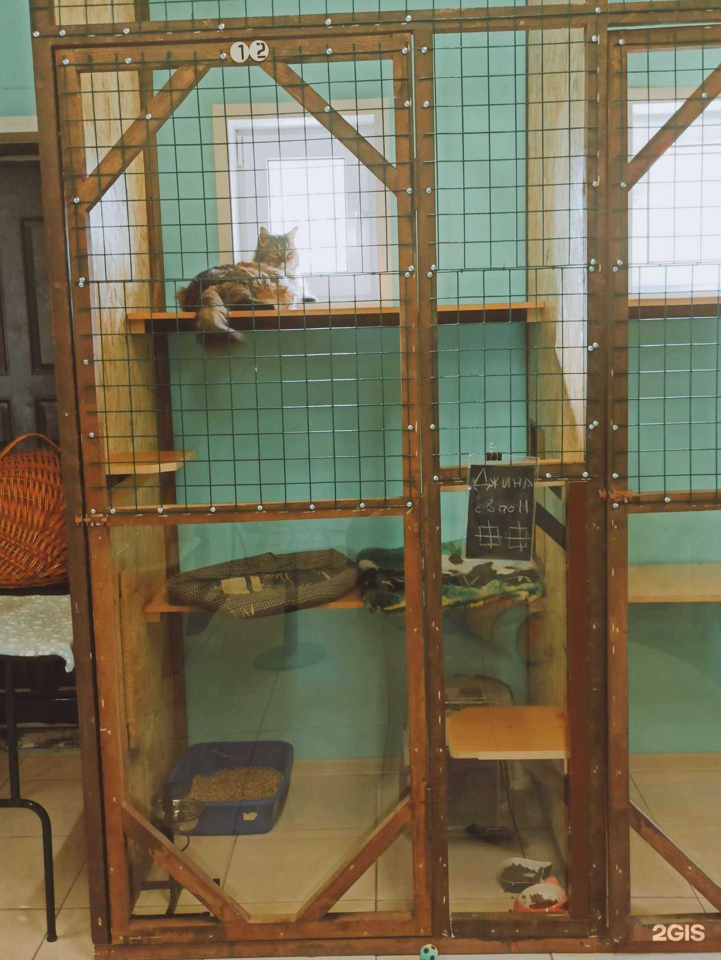 Отзывы на компанию Десять кошек в г. Химки c фото