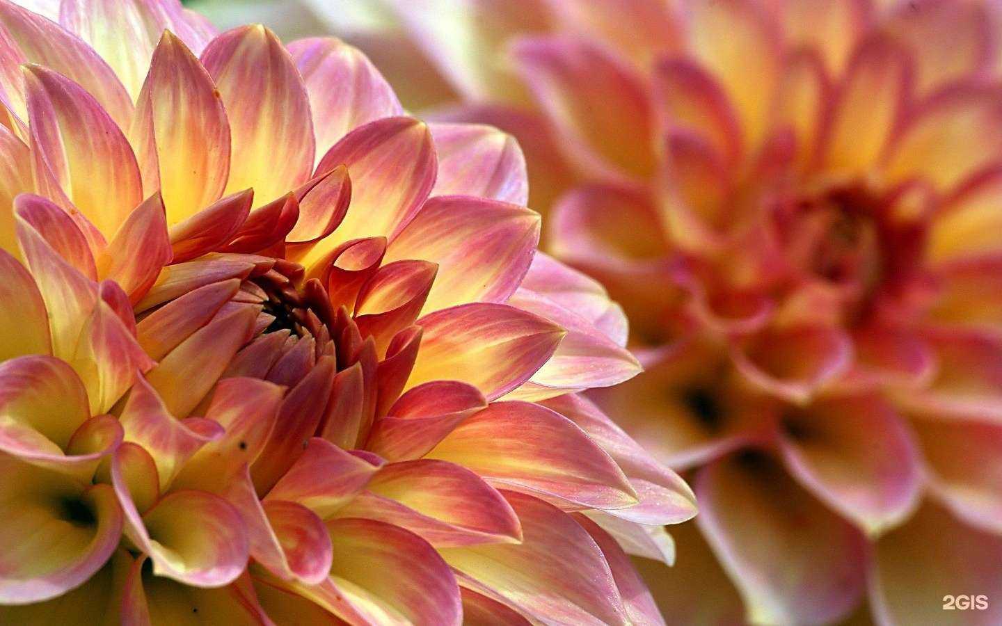 Отзывы на компанию Юниверсал в Коломне c фото