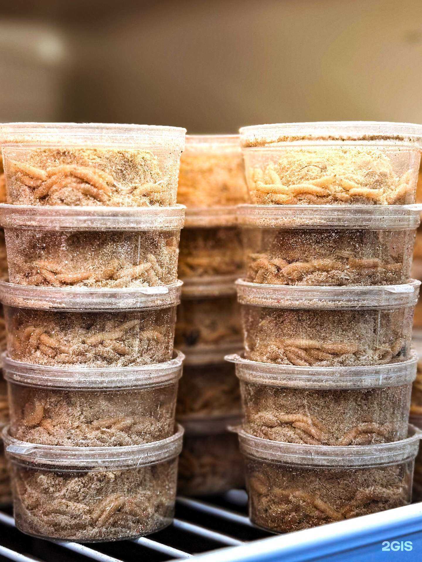 Отзывы на компанию На Воде в Барнауле c фото