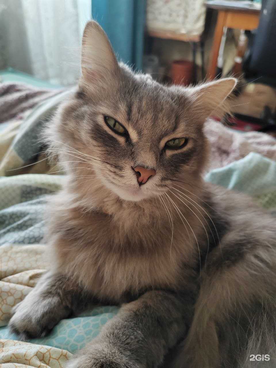 Отзывы на компанию Студия оформления бровей в Уфе c фото