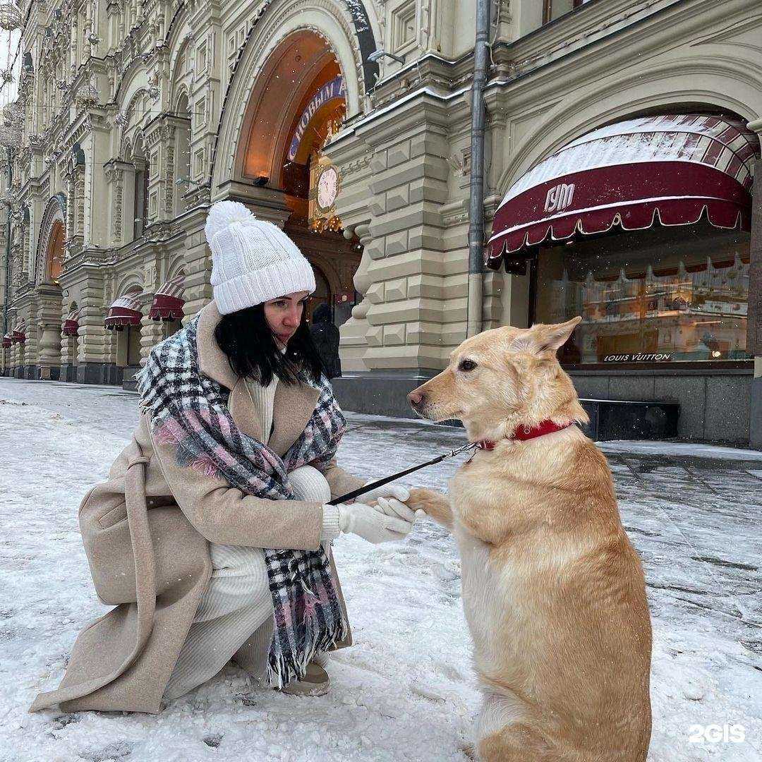 Отзывы на компанию Приют для животных в г. Мурманск c фото