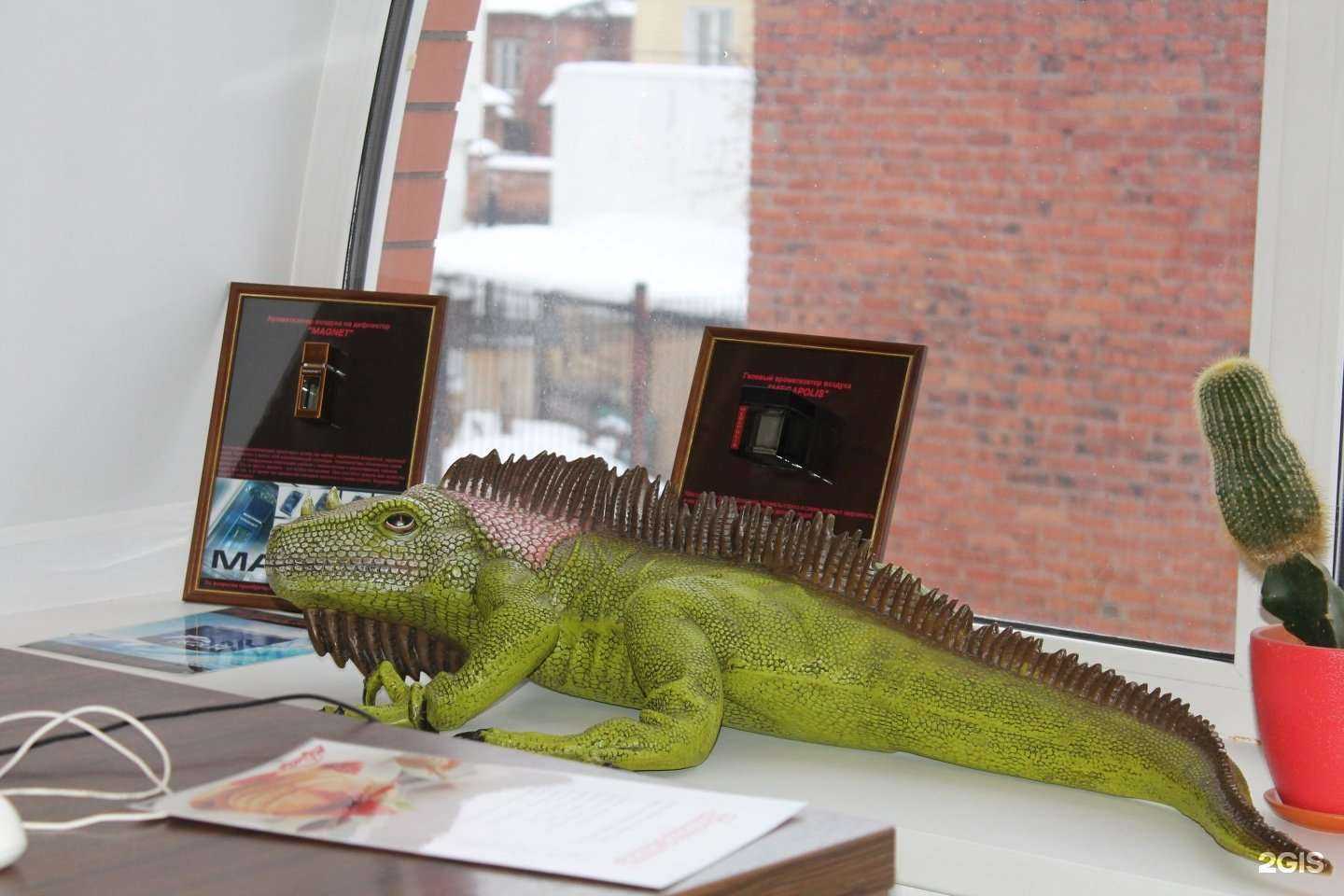 Отзывы на компанию Мойкар в Омске c фото