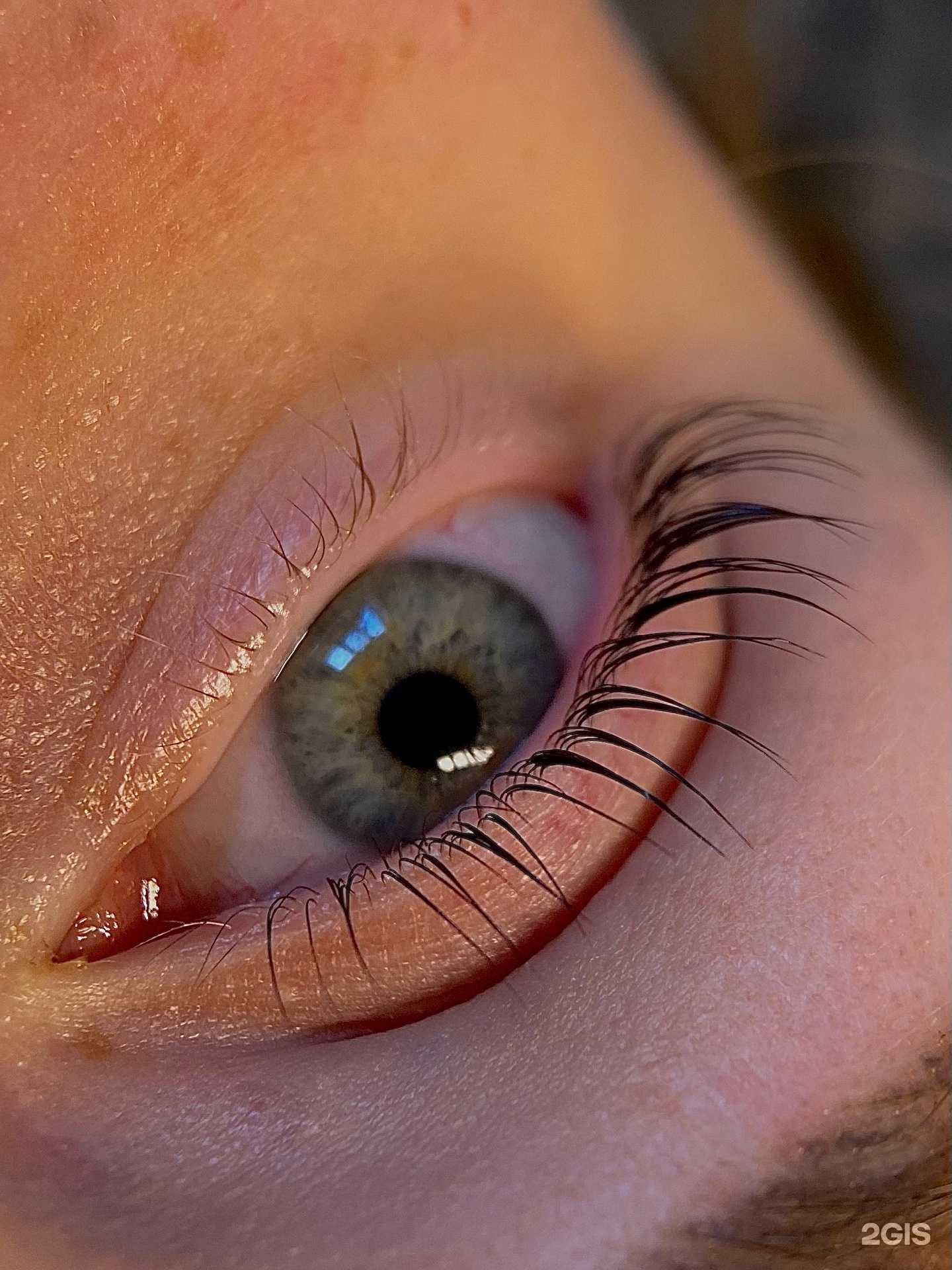 Отзывы на компанию Студия ламинирования ресниц в г. Кострома c фото