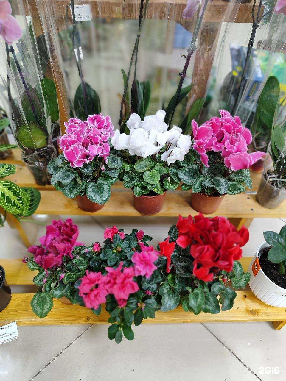 Отзывы на компанию Источник Жизни в Челябинске c фото