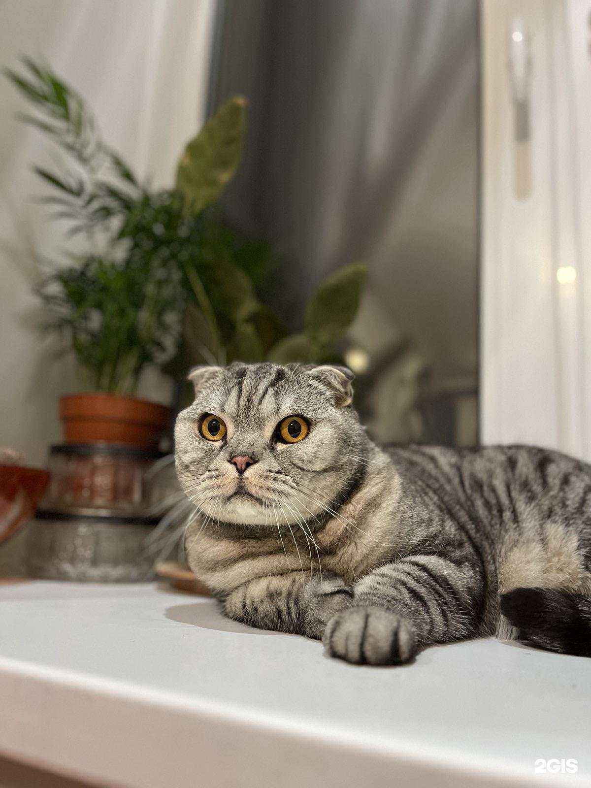 Отзывы на компанию Джим в г. Краснодар c фото