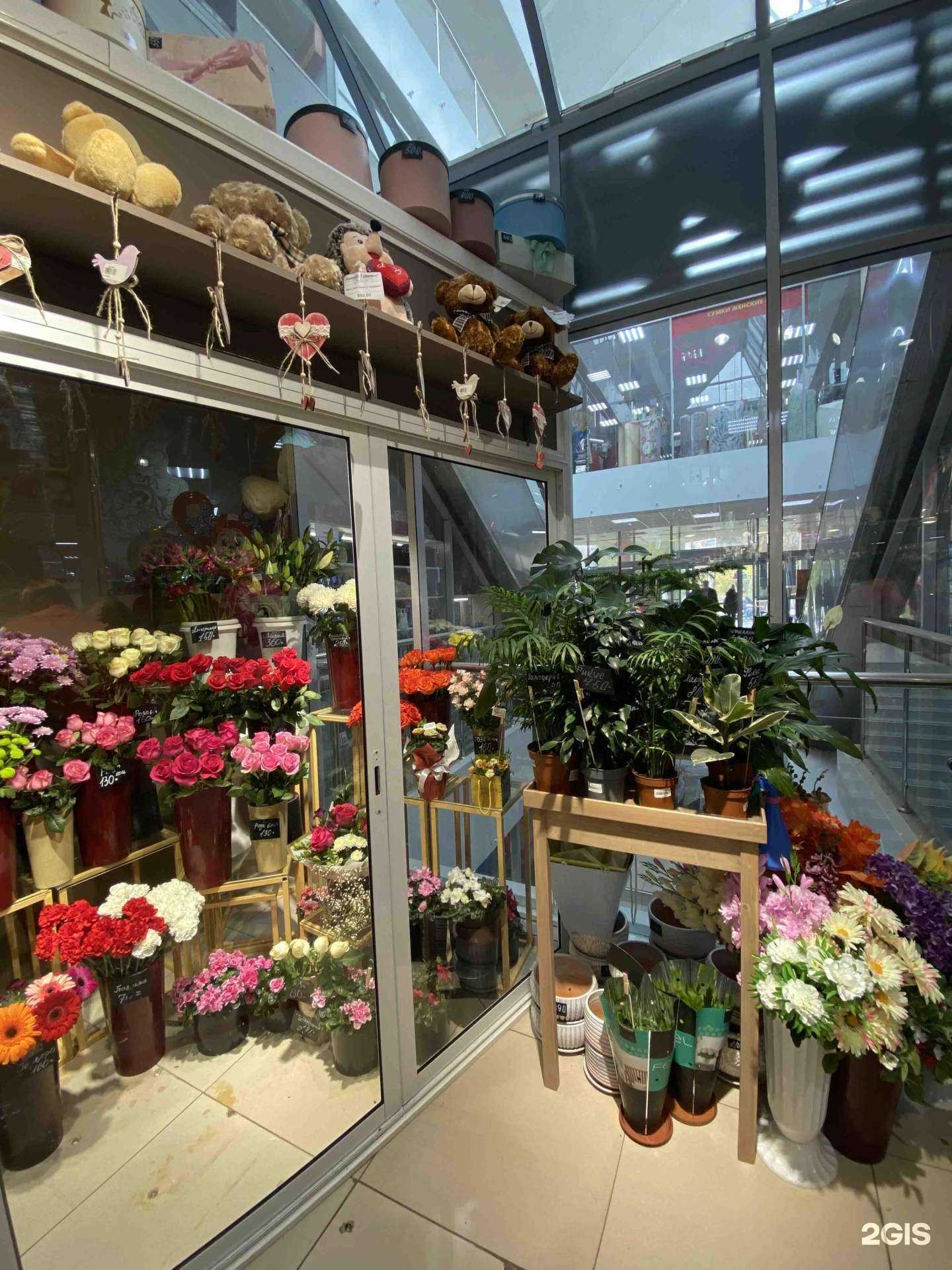 Отзывы на компанию Дом Цветов в Вологде c фото