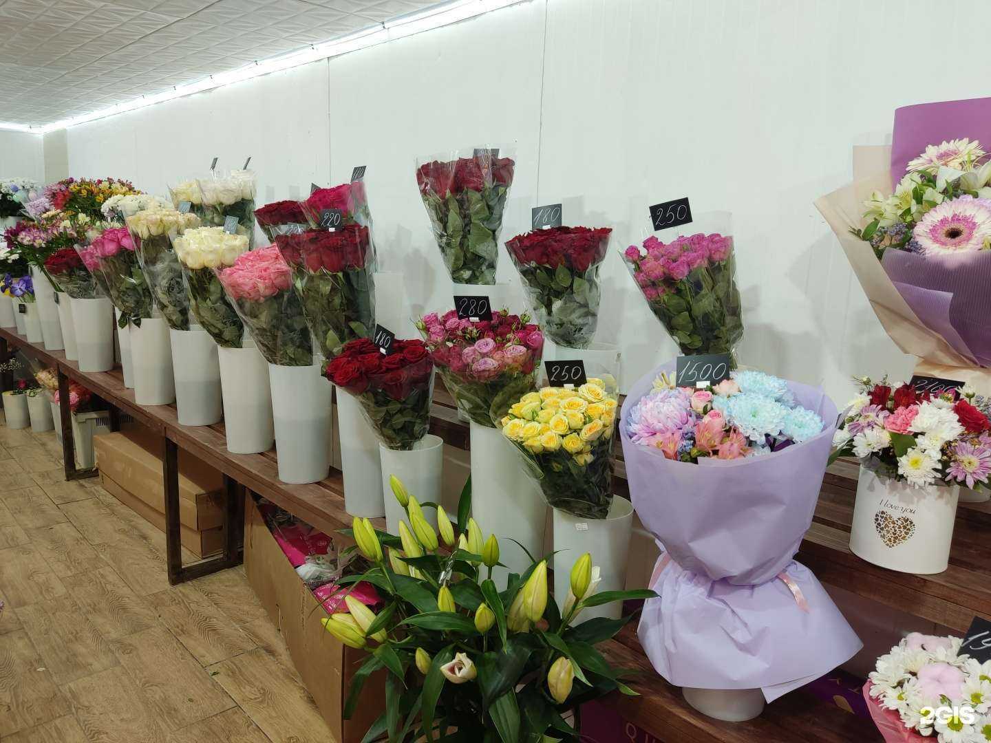 Отзывы на компанию Севилья в г. Дмитров c фото