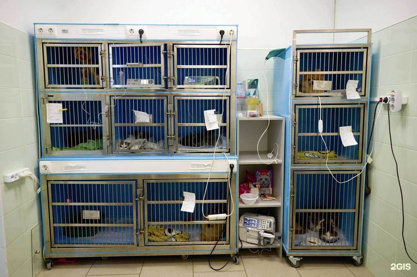 Отзывы на компанию Варли в Казани c фото