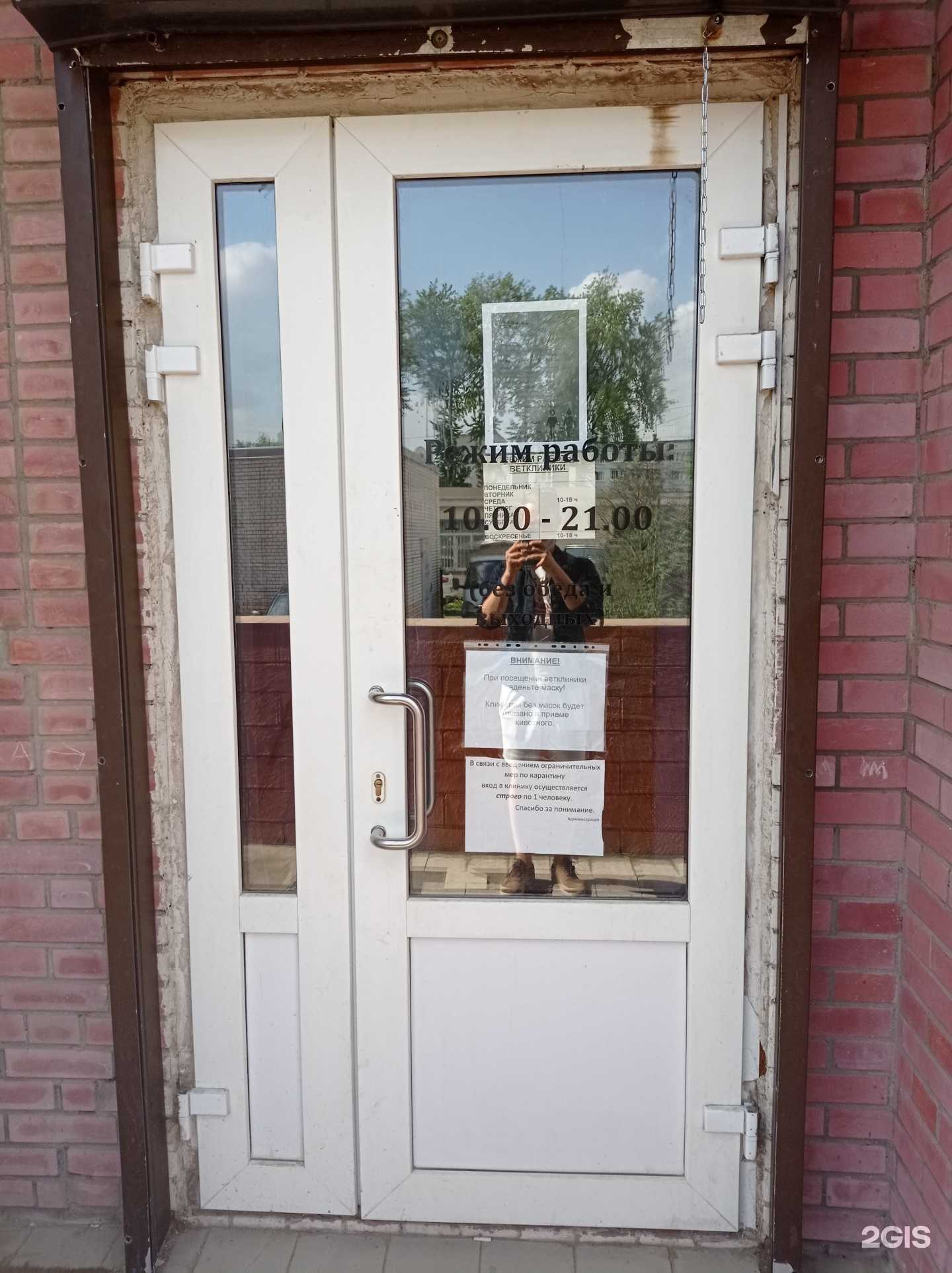 Отзывы на компанию Ладогавет в Отрадном c фото