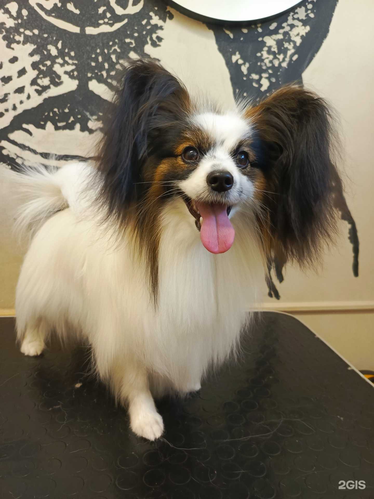 Отзывы на компанию Эндорфингрум в Челябинске c фото