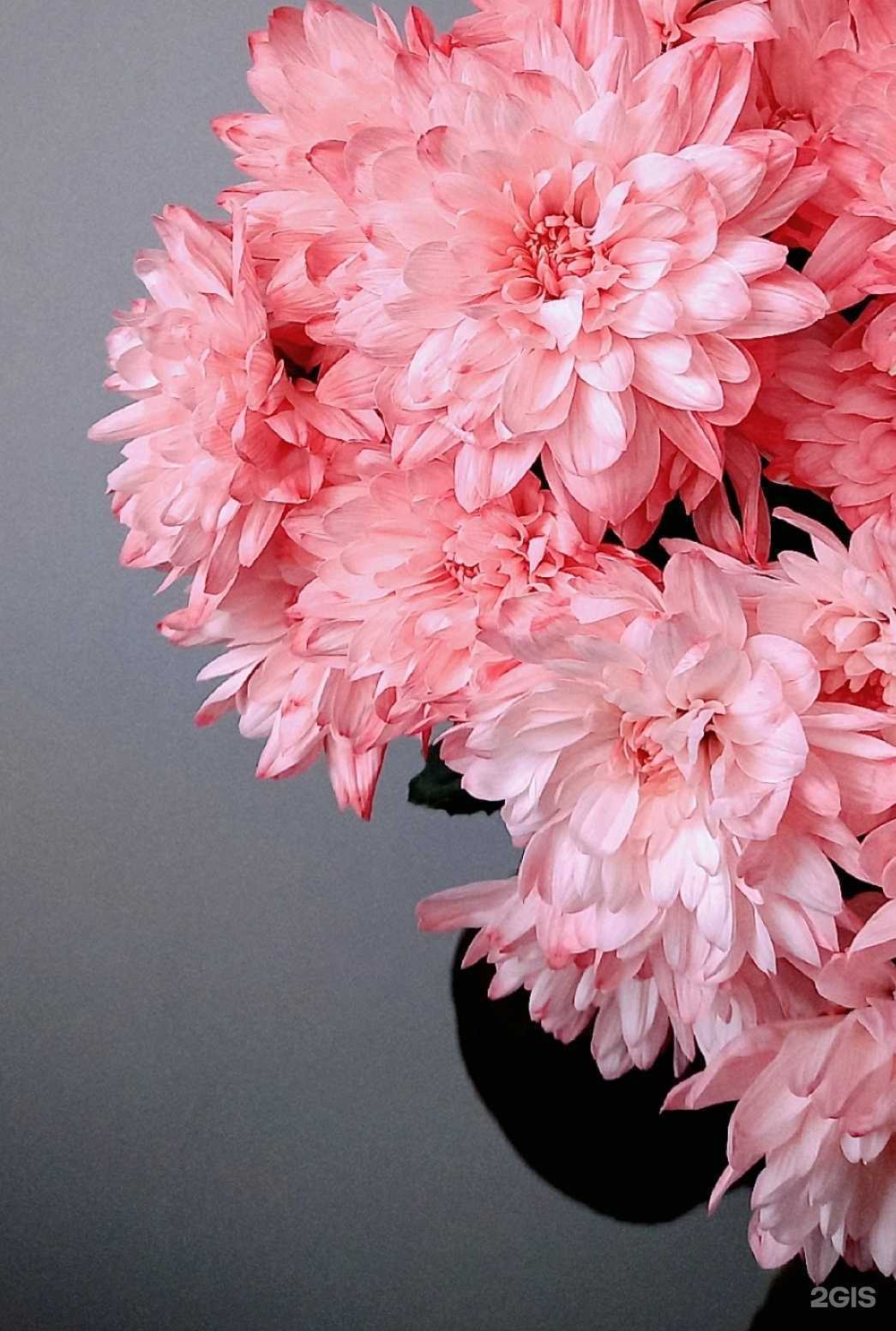 Отзывы на компанию Дарите цветы в г. Ялуторовск c фото