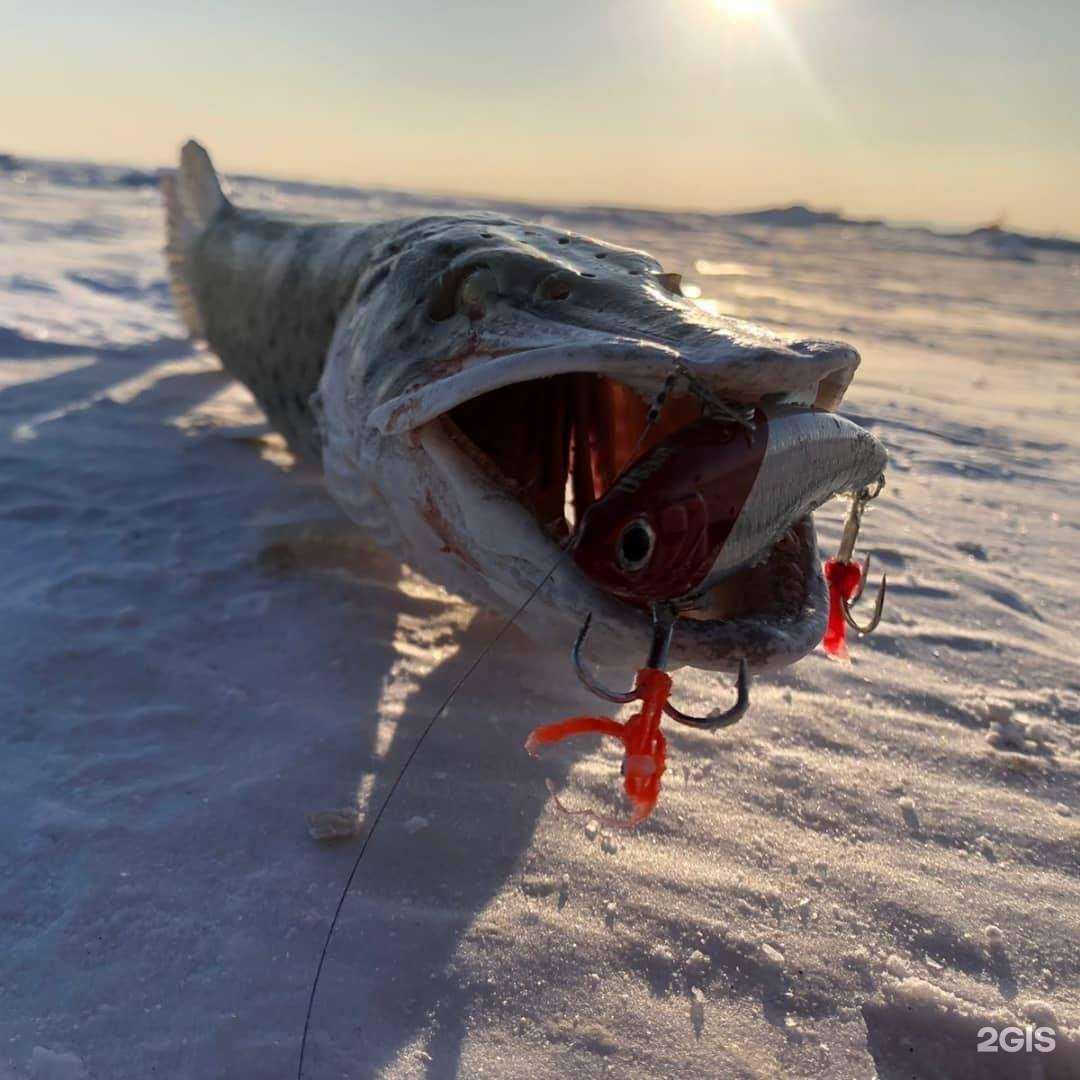 Отзывы на компанию ПримФишинг в Владивостоке c фото