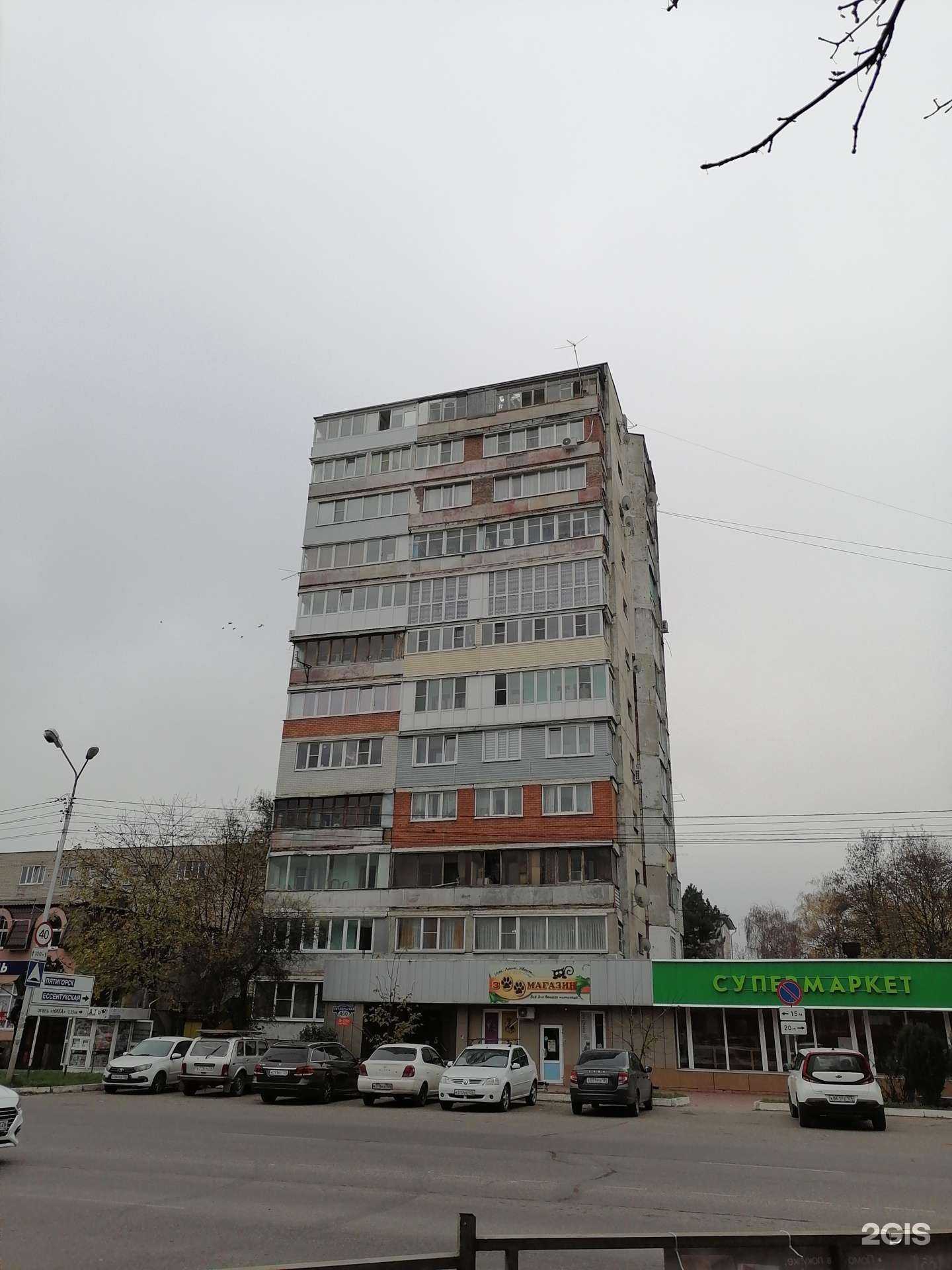 Отзывы на компанию Усы, лапы, хвост в Ессентуках c фото - фотография 2 из 2