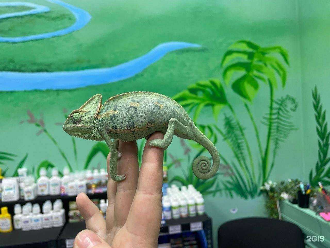 Отзывы на компанию Мир Амазонки в Одинцове c фото