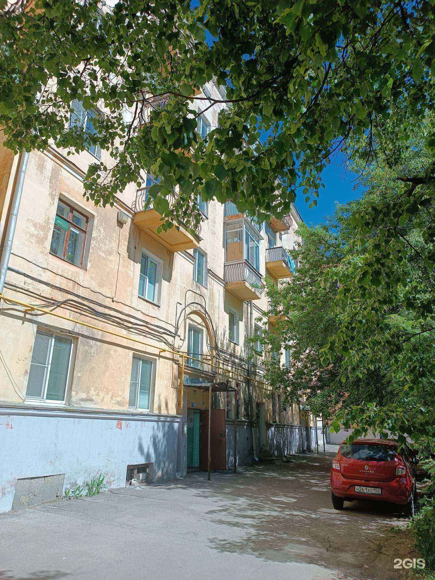 Отзывы на компанию Магазин зоотоваров в Нижнем Новгороде c фото - фотография 2 из 2