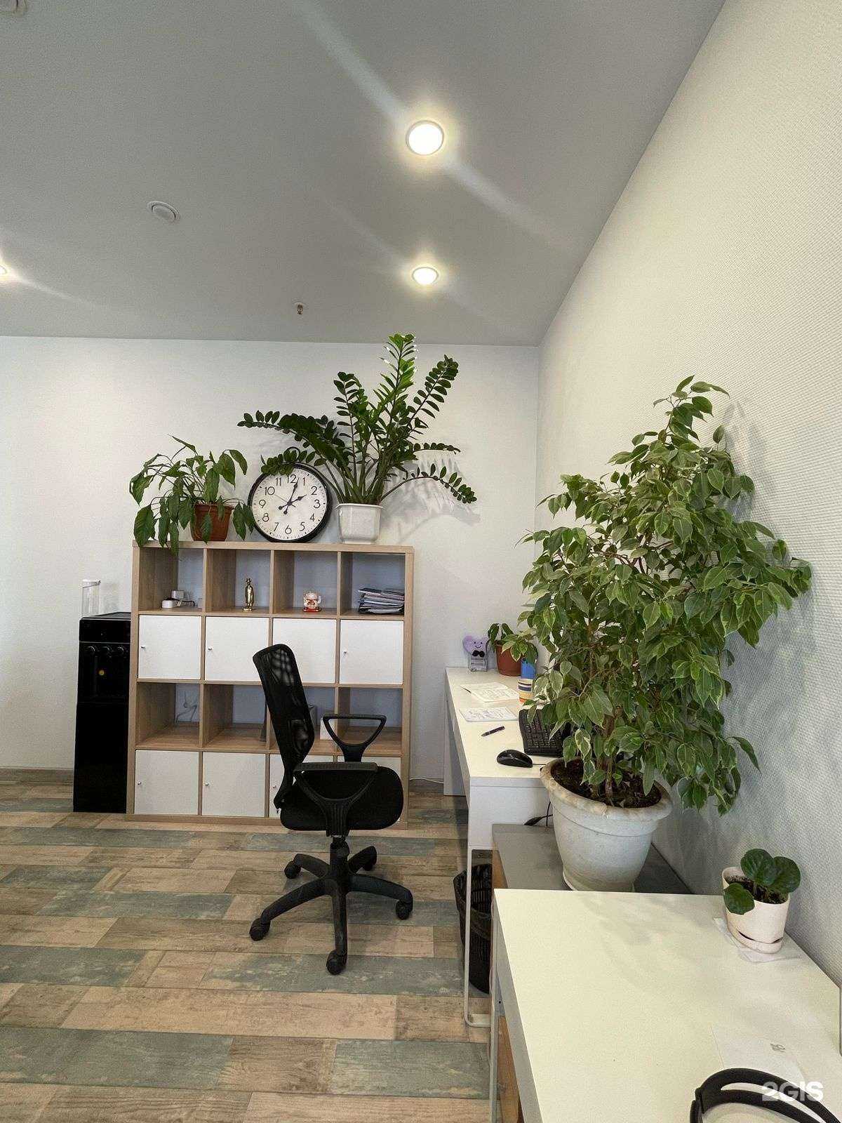 Отзывы на компанию Самолет Плюс в Новосибирске c фото