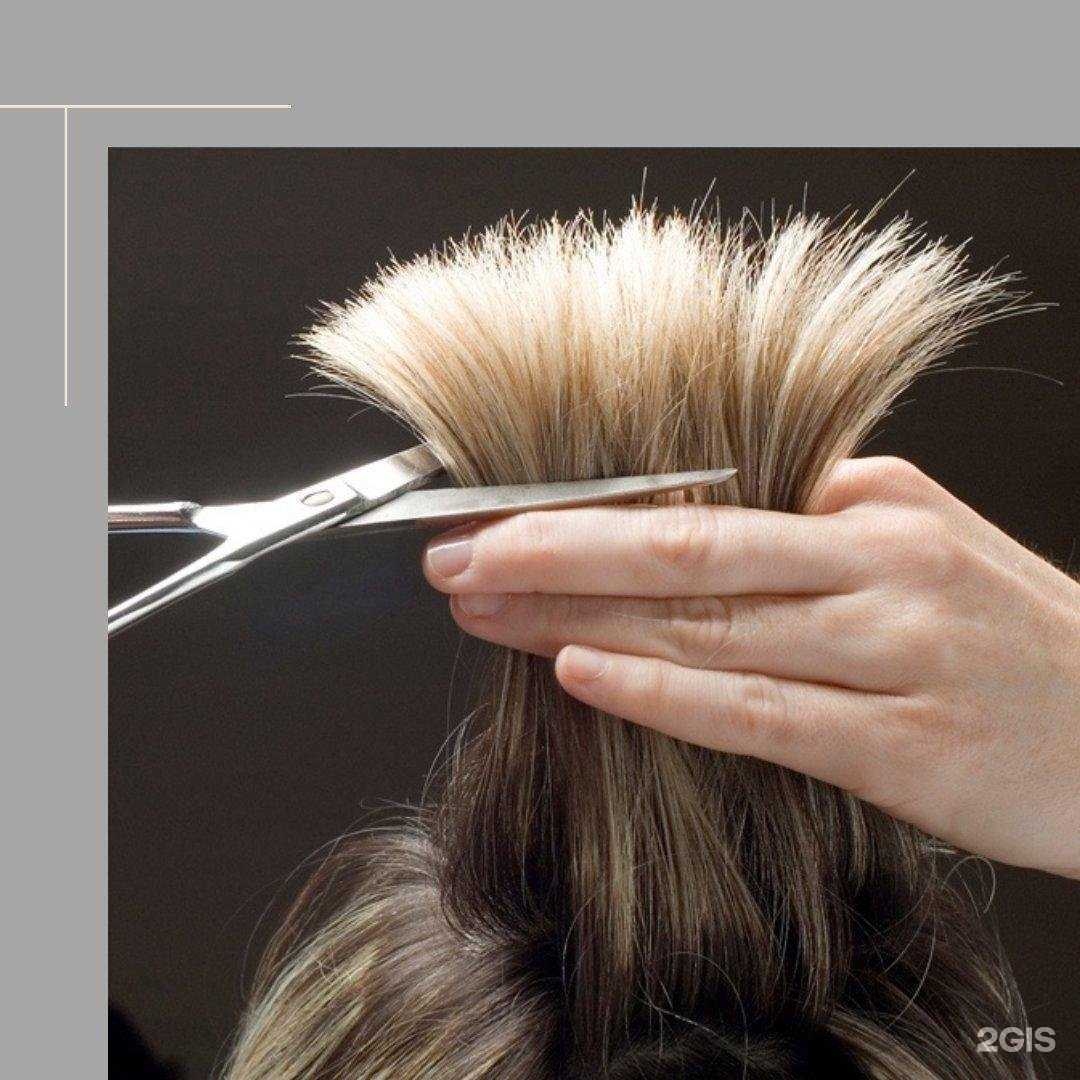 Отзывы на компанию Кластек в г. Петропавловск-Камчатский c фото