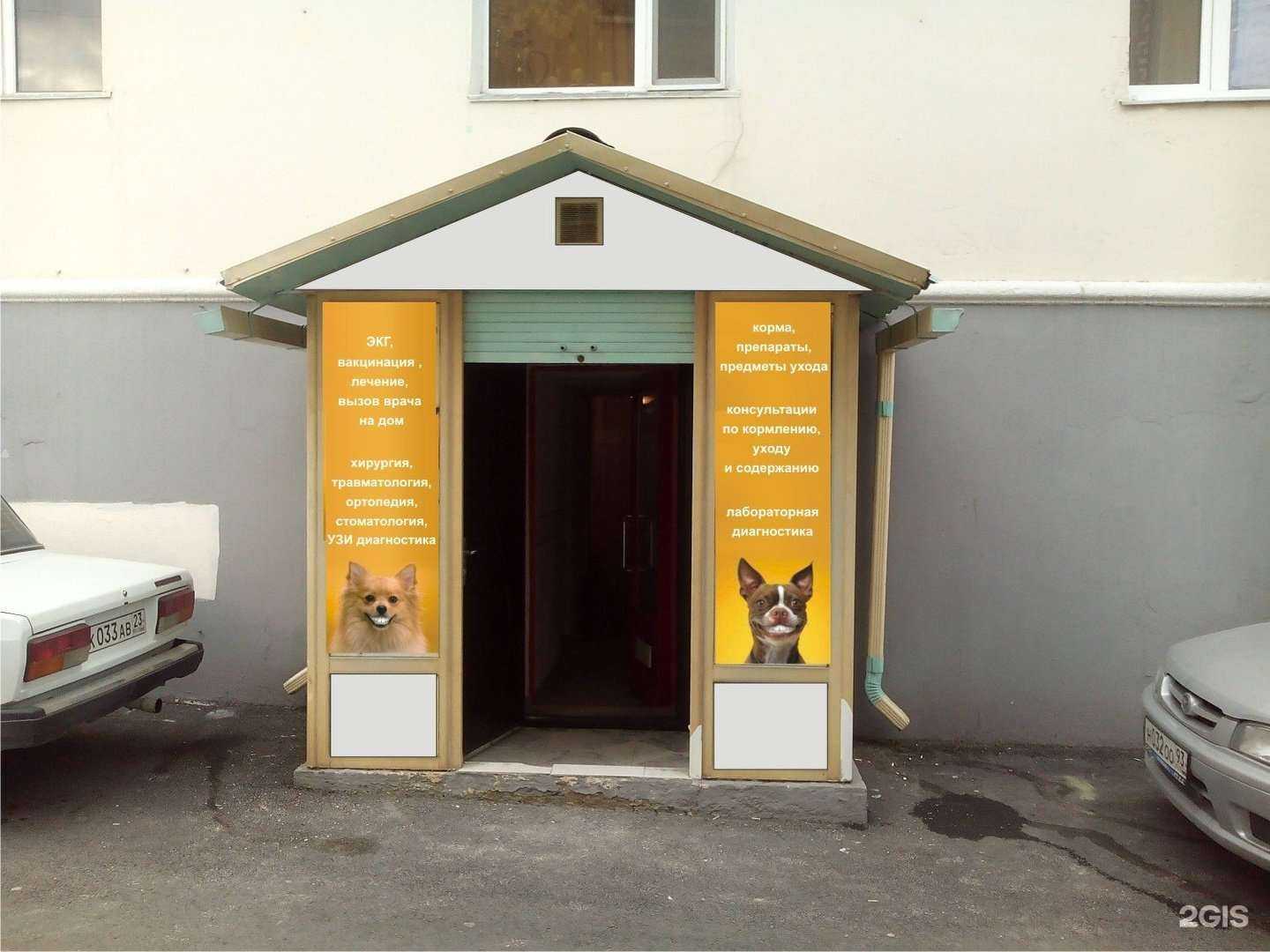 Отзывы на компанию Багира в Новороссийске c фото