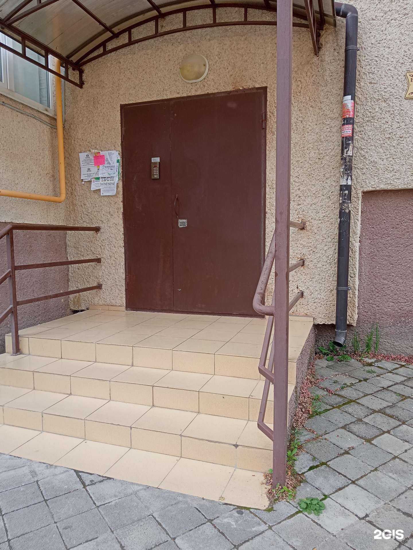 Отзывы на компанию Лапки и хвостики в г. Анапа c фото