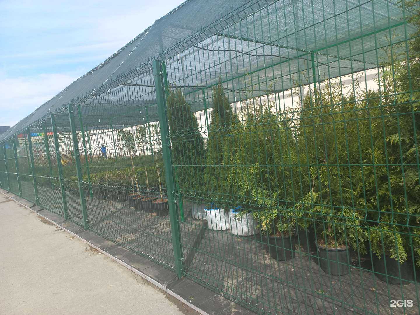 Отзывы на компанию Сибирские газоны в Кемерове c фото