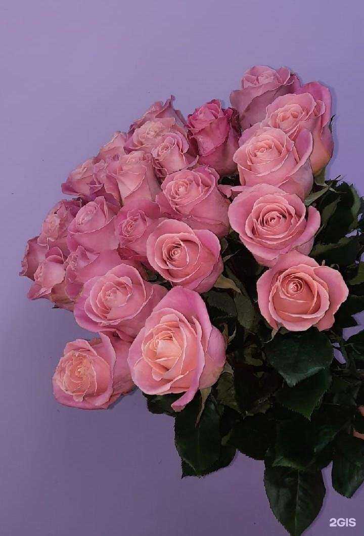 Отзывы на компанию ЦветТорг в Кургане c фото