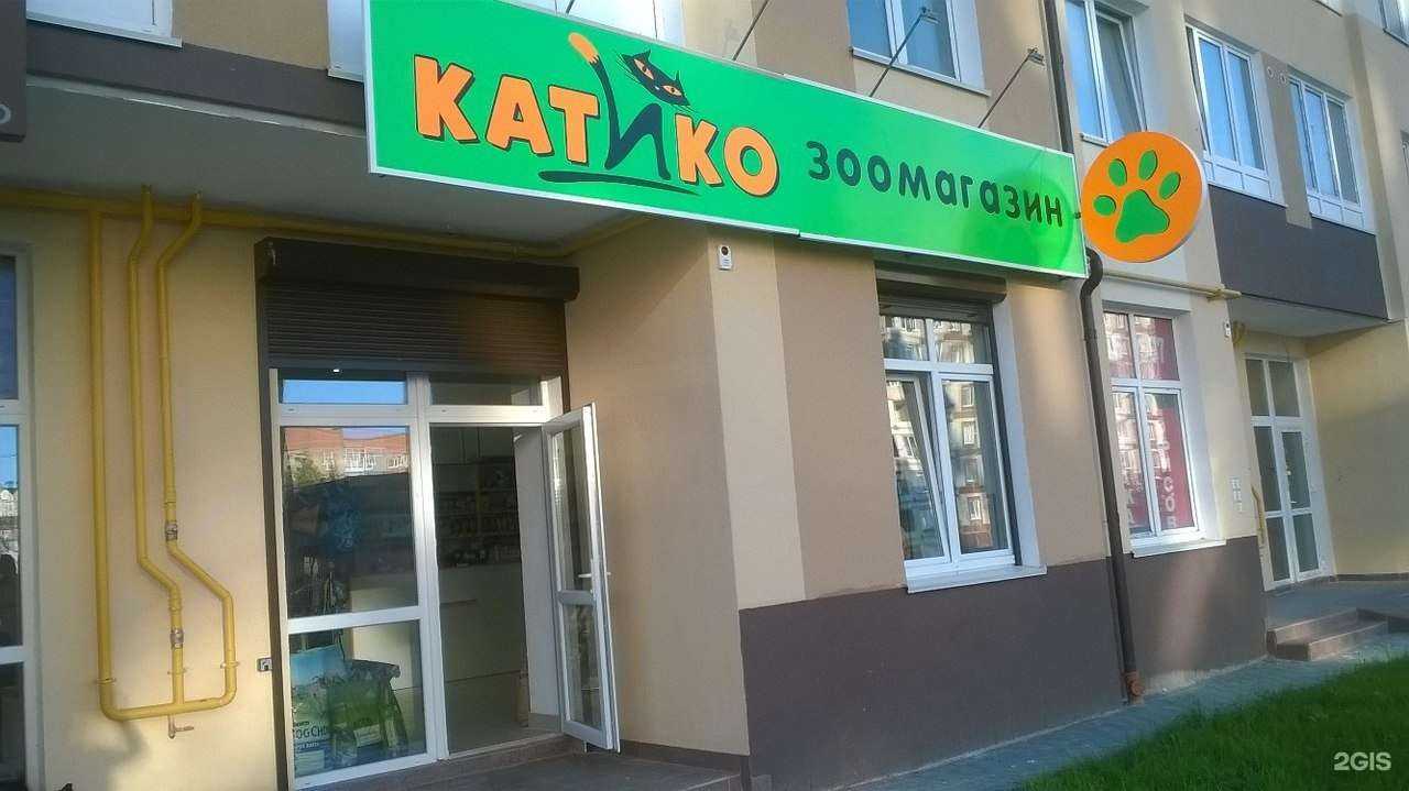 Отзывы на компанию Катико в Калининграде c фото