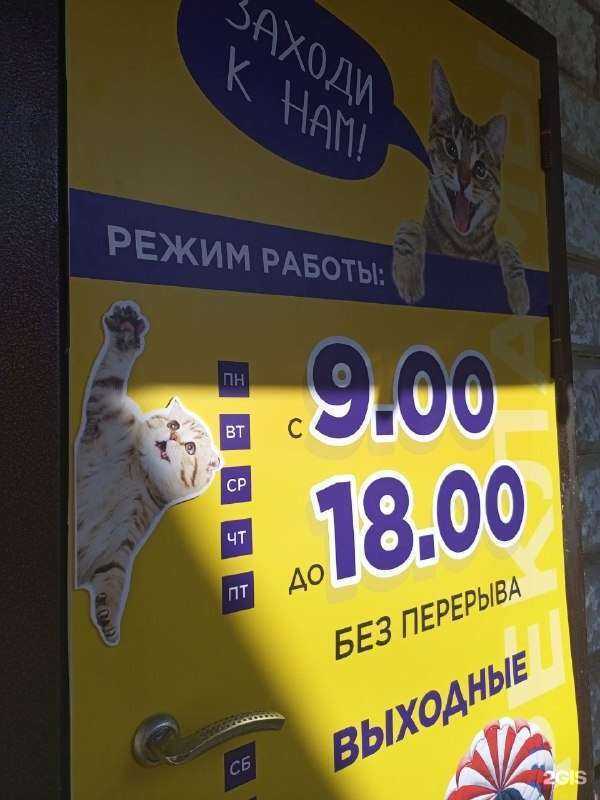 Отзывы на компанию Цех рекламы в Вологде c фото