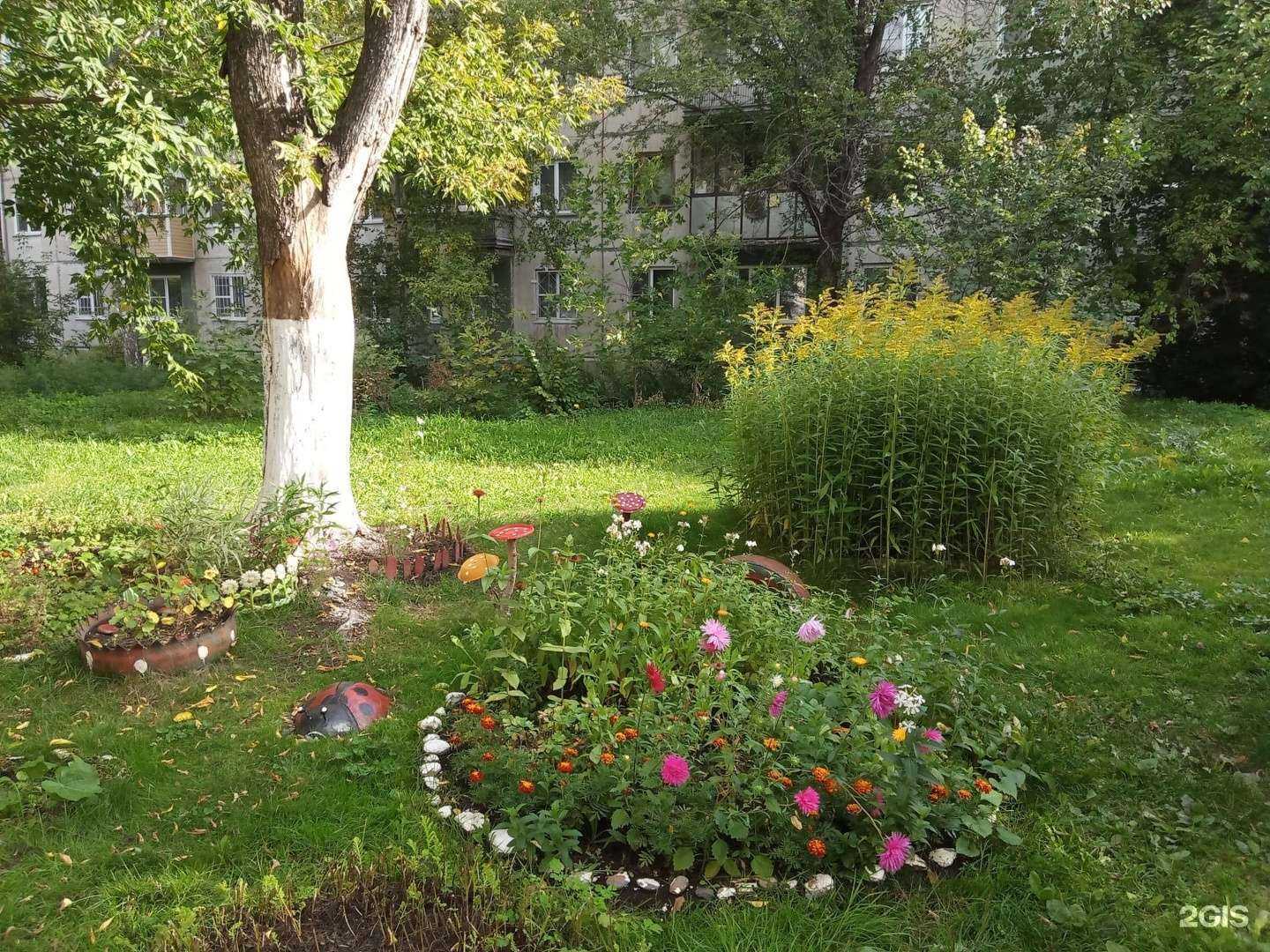 Отзывы на компанию DM Shop в Барнауле c фото - фотография 2 из 2