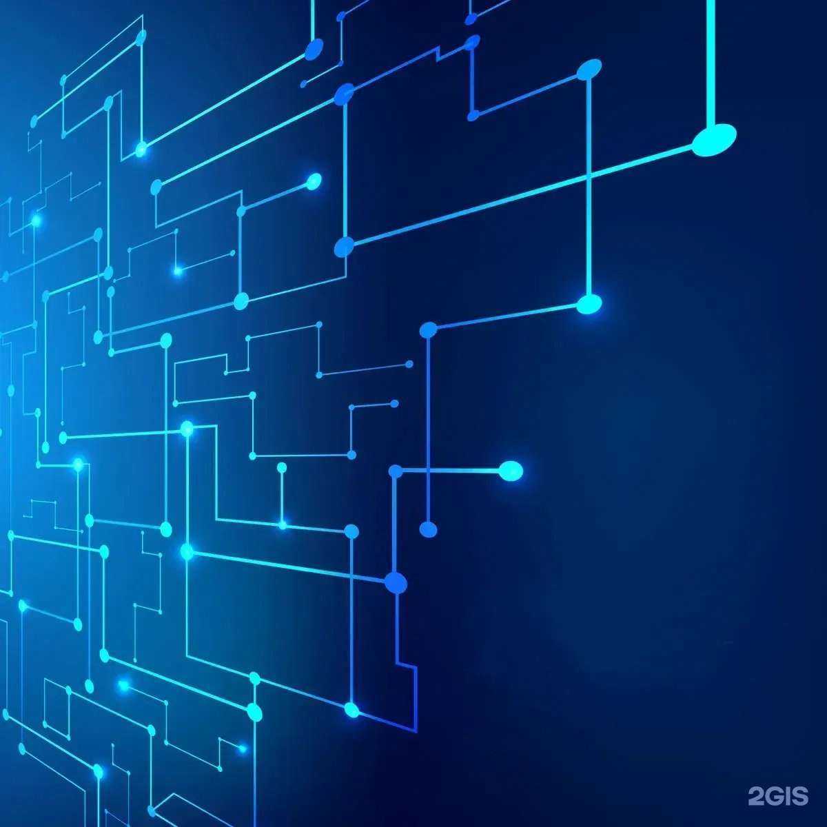 Отзывы на компанию Элс в г. Екатеринбург c фото