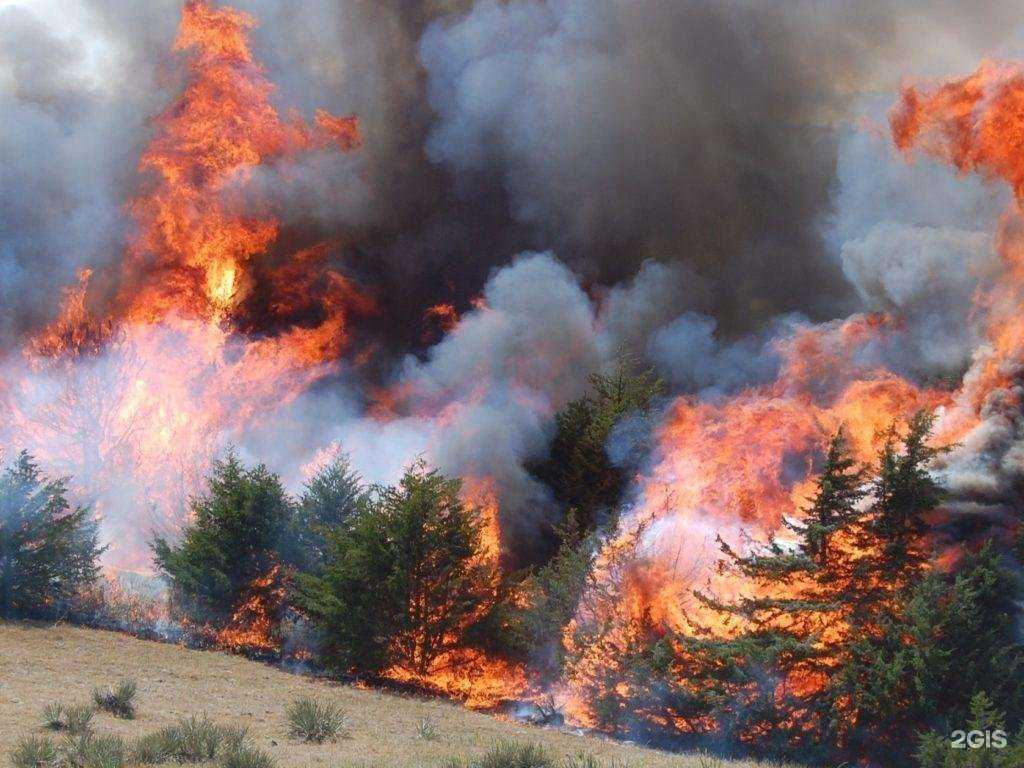 Отзывы на компанию Центр Гражданской Защиты в Черкесске c фото
