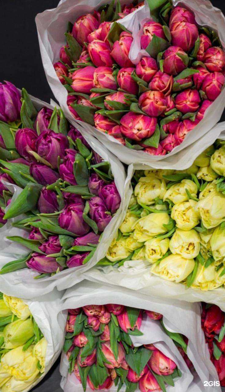 Отзывы на компанию Премьер-флора в Иркутске c фото