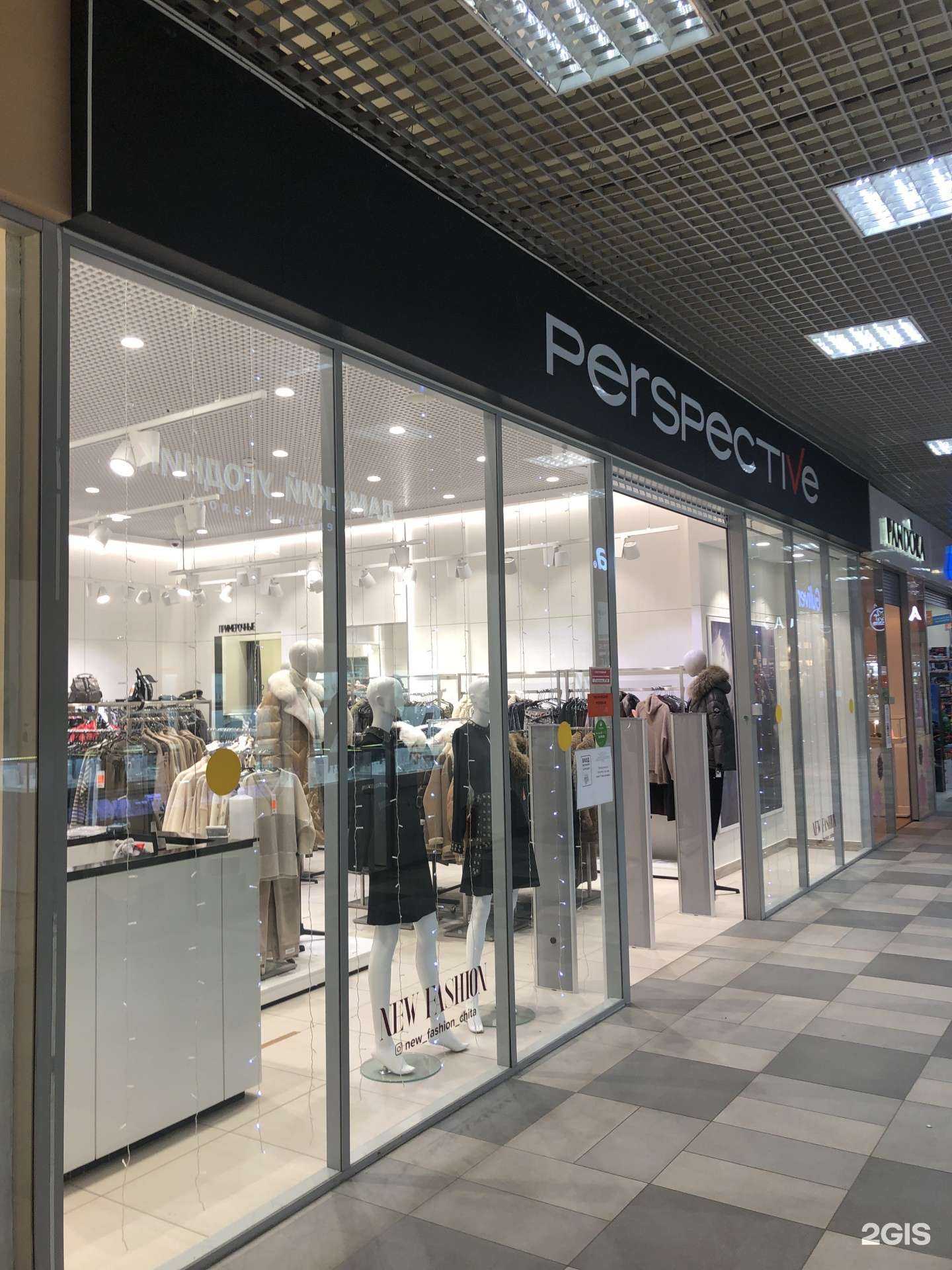 Отзывы на компанию Perspectivе в Чите c фото