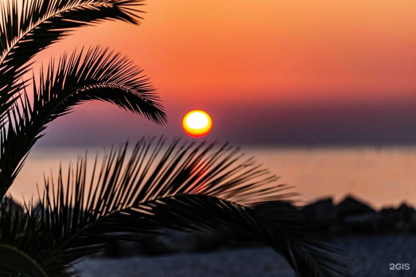 Отзывы на компанию Дивный в Сочи c фото