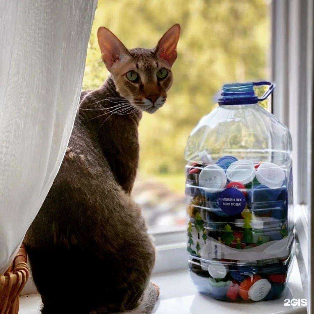 Отзывы на компанию Добрые крышечки в Ярославле c фото