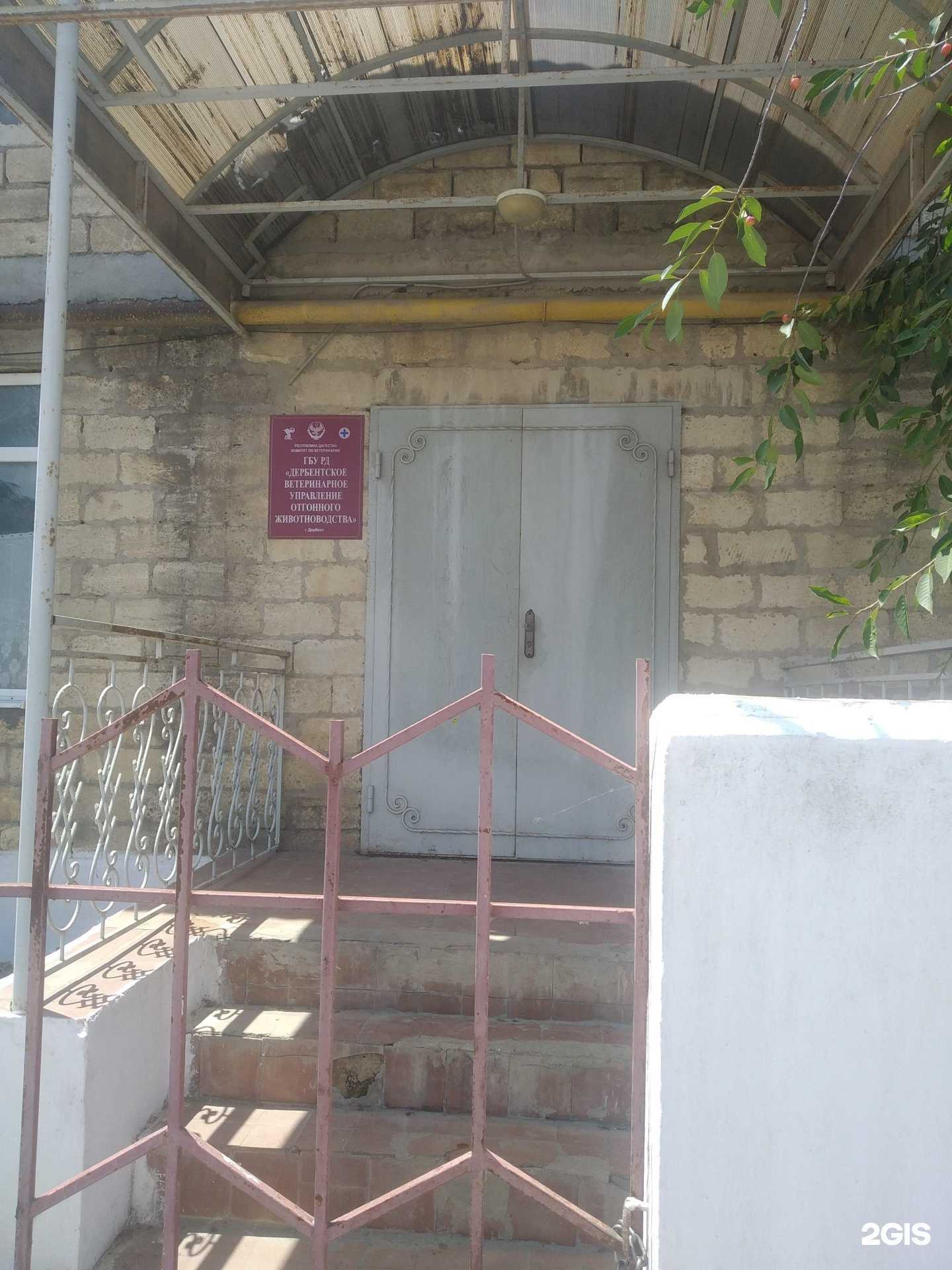 Отзывы на компанию Дербентское ветеринарное управление отгонного животноводства в Дербенте c фото