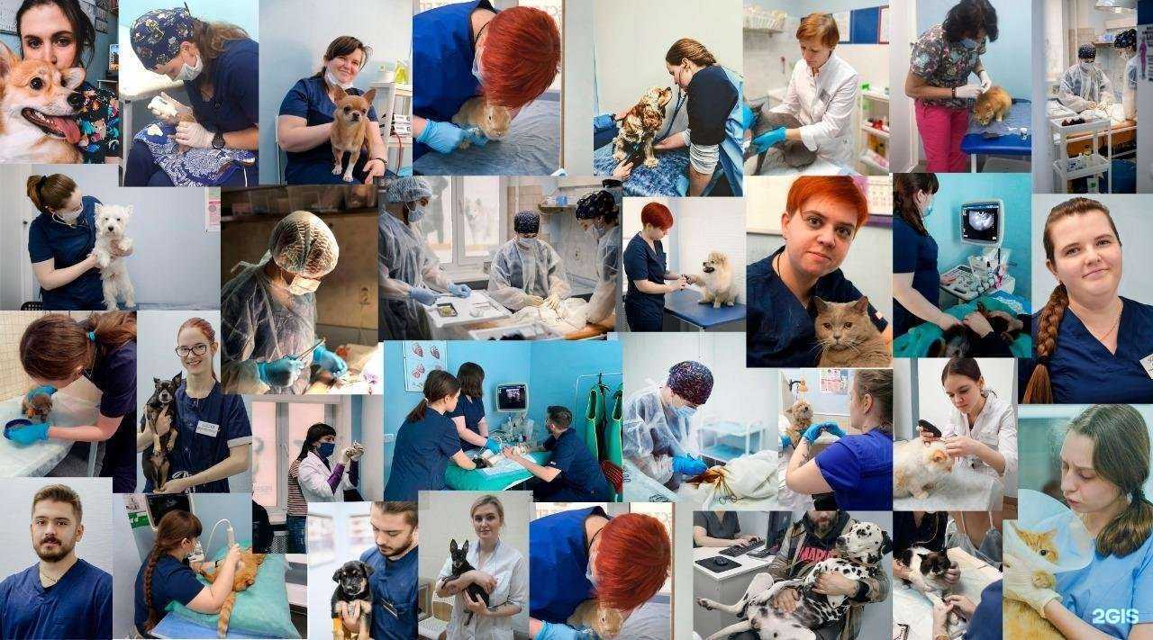 Отзывы на компанию Альянс в г. Екатеринбург c фото